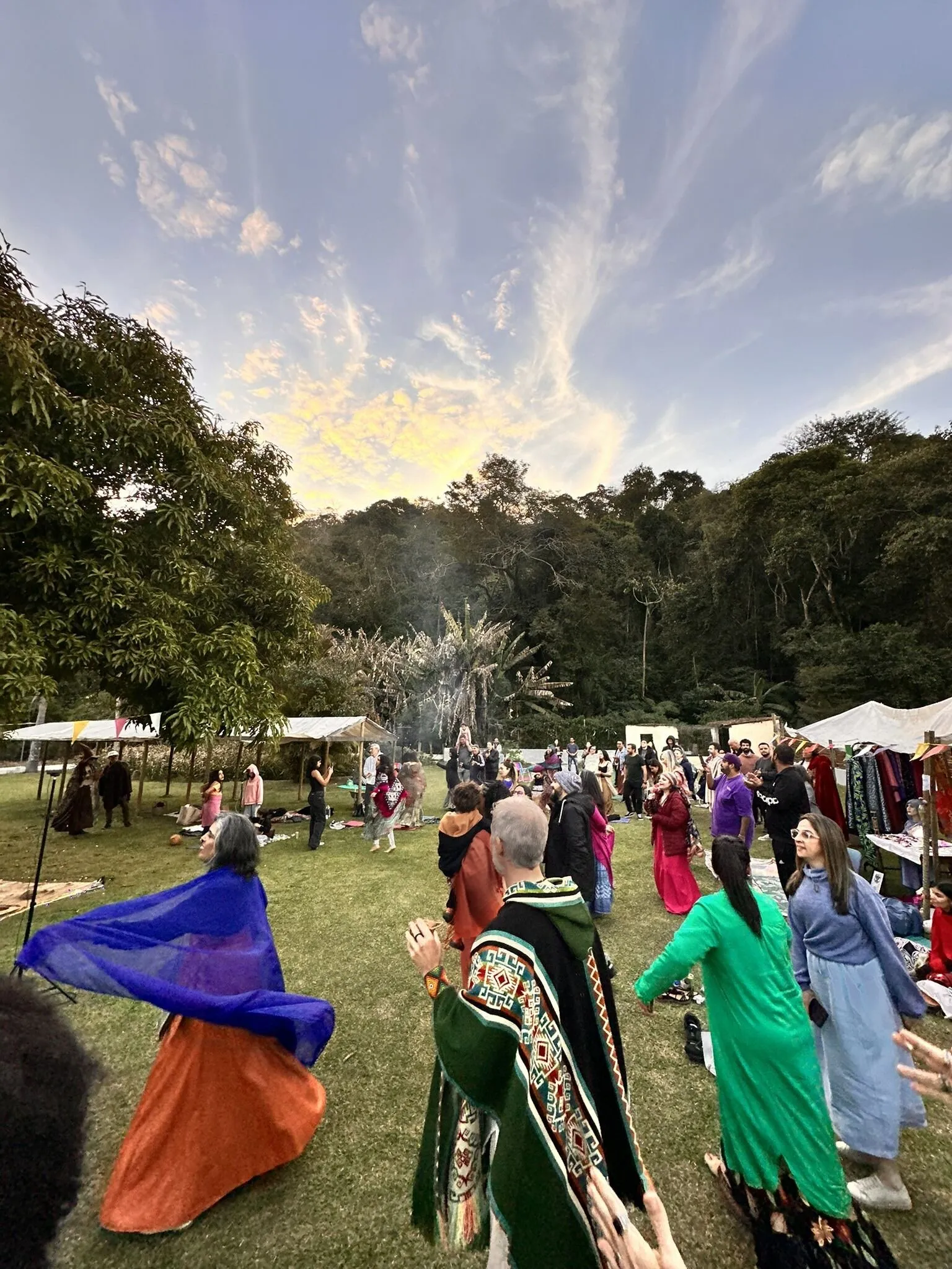 Árvore ancestral gigante com raízes profundas — Iroko